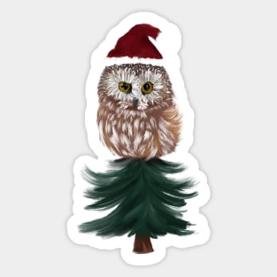 Holiday Owl Sticker